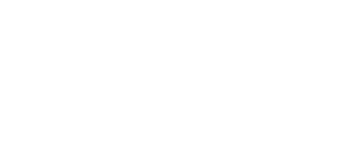 Promark System
