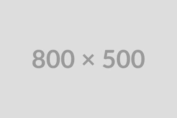 Adapting to the New Web Development Trends in 2024